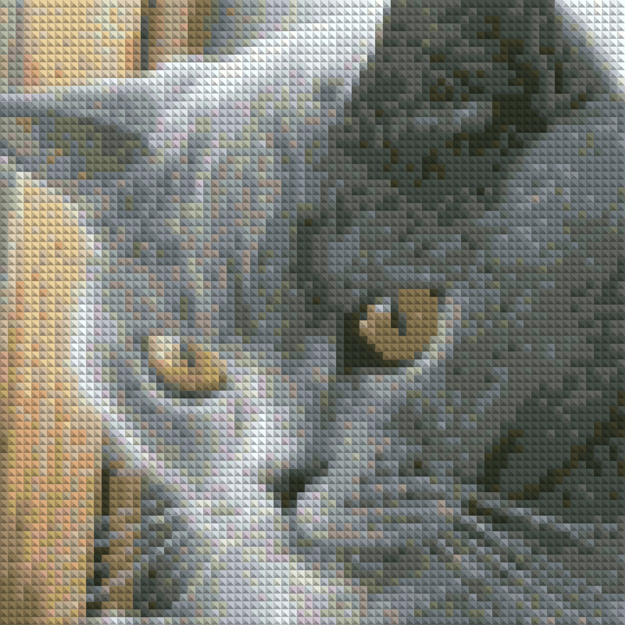 Кошка файл схемы 2